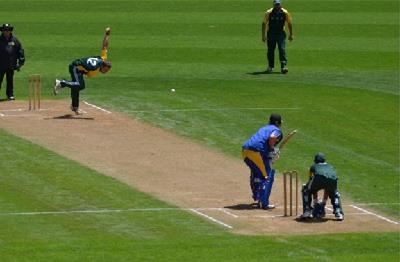 Cricket Newsflash.jpg